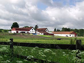 Horse farm