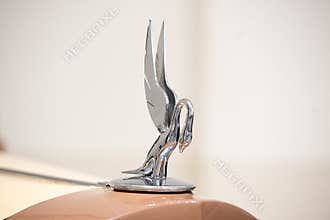 Antique Packard Car Embleme