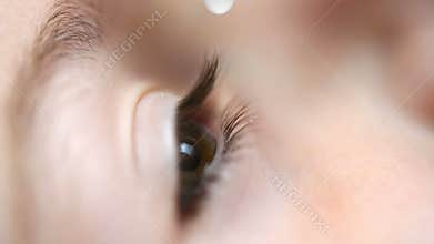 Eye Drop for children