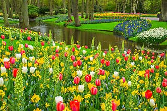 Beautiful spring flowers near pond in Keukenhof park in Netherlands