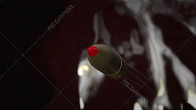 Flying bullet