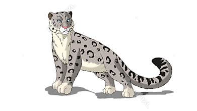Snow Leopard on White Background