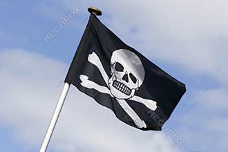 Skull and cross bones