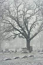 Snowy Cemetery