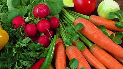 Still life with various fresh organic vegetables