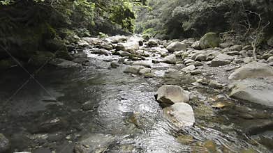 Brook gently flowing