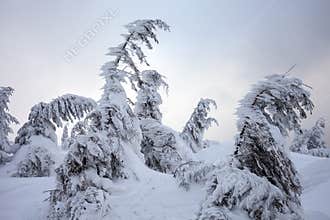 Bad weather in the mountains. Winter landscape. Cloudy evening with storm clouds. Carpathians, Ukraine, Europe