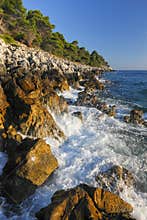 Rocky coast