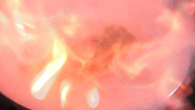 Fish cooking burst into flame! shot.