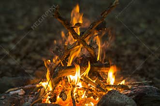 Campfire