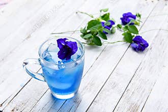 Butterfly pea juice with ice