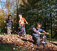 Fall Fun