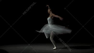 Ballet Dancer Dancing With Tutu