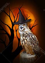Halloween Owl with hat