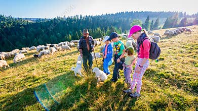 Jaworki, Poland - August 30, 2015: Summer adventure - shepherd grazing sheep in the mountains