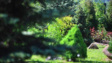 Garden with tree in spring
