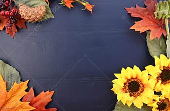Autumn Fall Background with Decorated Borders.