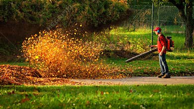 Heavy duty leaf blower in action