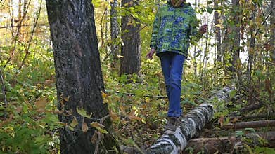 A child walks on a fallen tree in the autumn Park