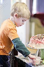 Boy decorating cake