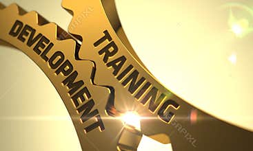 Training Development on Golden Gears. 3D.