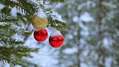 Christmas Balls on the Tree in the Forest and Snowfall