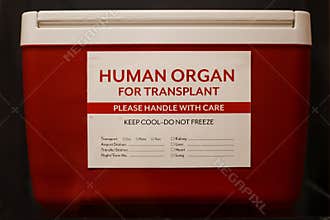 Red ice chest with label stating Human Organ for Transplant