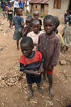 2nd Nov 2008. Refugees from DR Congo