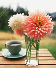 Coffee and flowers