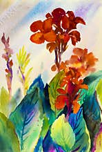 Watercolor landscape original painting colorful of canna lily flower