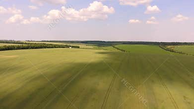 Aerial flying high above vast wheat field.