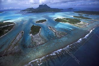 Lagoon reef teeth