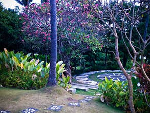 Sweet Garden Yard Surrounded By Beutiful Flower Plants And Trees At The Village