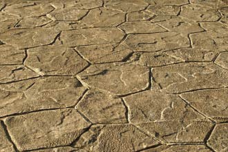 Exterior Decorative Cement Flooring, Perspective View of Stamped Concrete Pavement