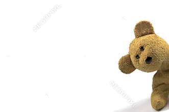 Teddy peeking