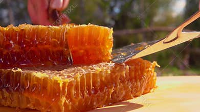 Knife cuts a part of the honeycombs to the spatula on a sunny summer day