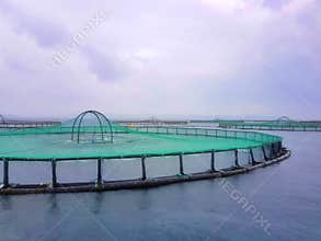 Cromaris Marine Fish Farm, Croatia
