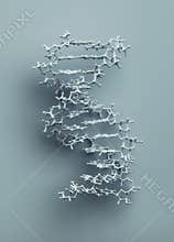 DNA