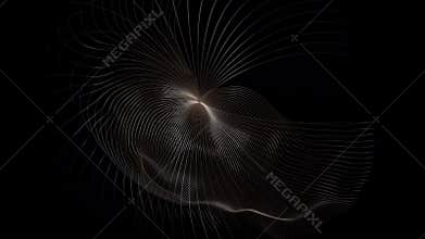 Shapes from fine curves