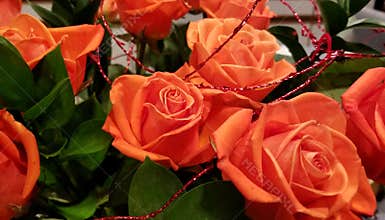 Spring Bloom Series - Roses Roses and more Roses