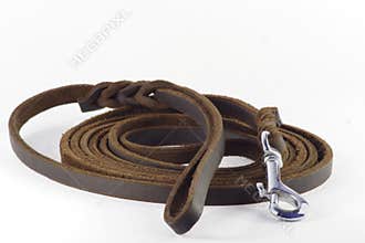 Dog leash