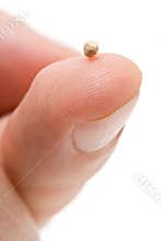 Mustard seed - symbol of faith