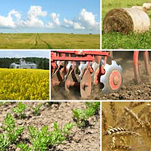 Agriculture collage