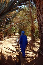 Bedouin man in oasis