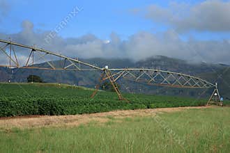 Irrigation system on South African Farm