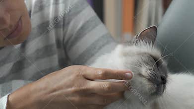 Woman cuddling her cat sleeping on a chair