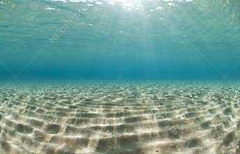 Ripples of sunlight reflected on the ocean floor.