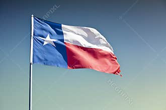 Texas State Flag