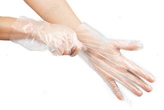 Women`s hands in transparent disposable gloves, isolate