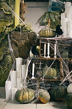 Photo of Halloween decorations with crows, pumpkins, candles and shelves indoors. Vertical